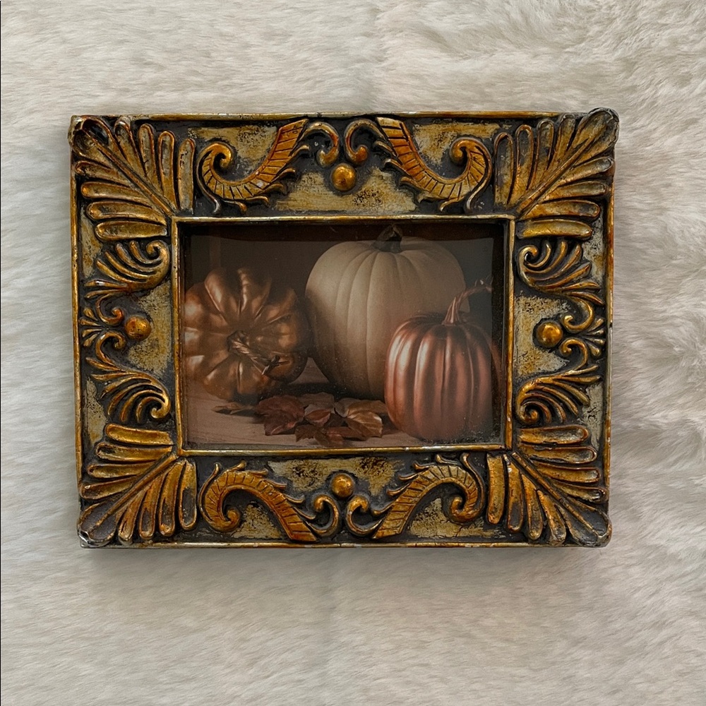 Ornate Gold and Bronze & Copper Decorative Picture Frame - Home Accents 5” X 4@